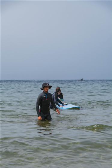 Tadinga photo 7