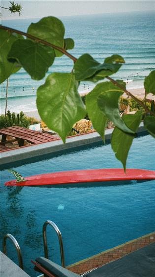 Tadinga photo 13