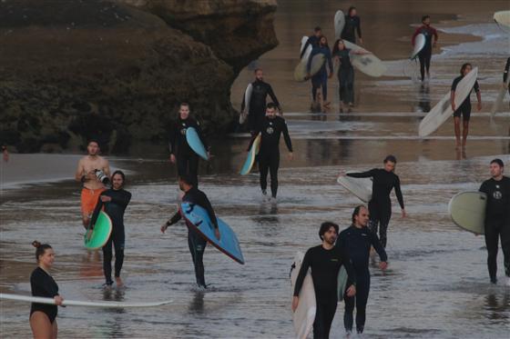Tadinga photo 24